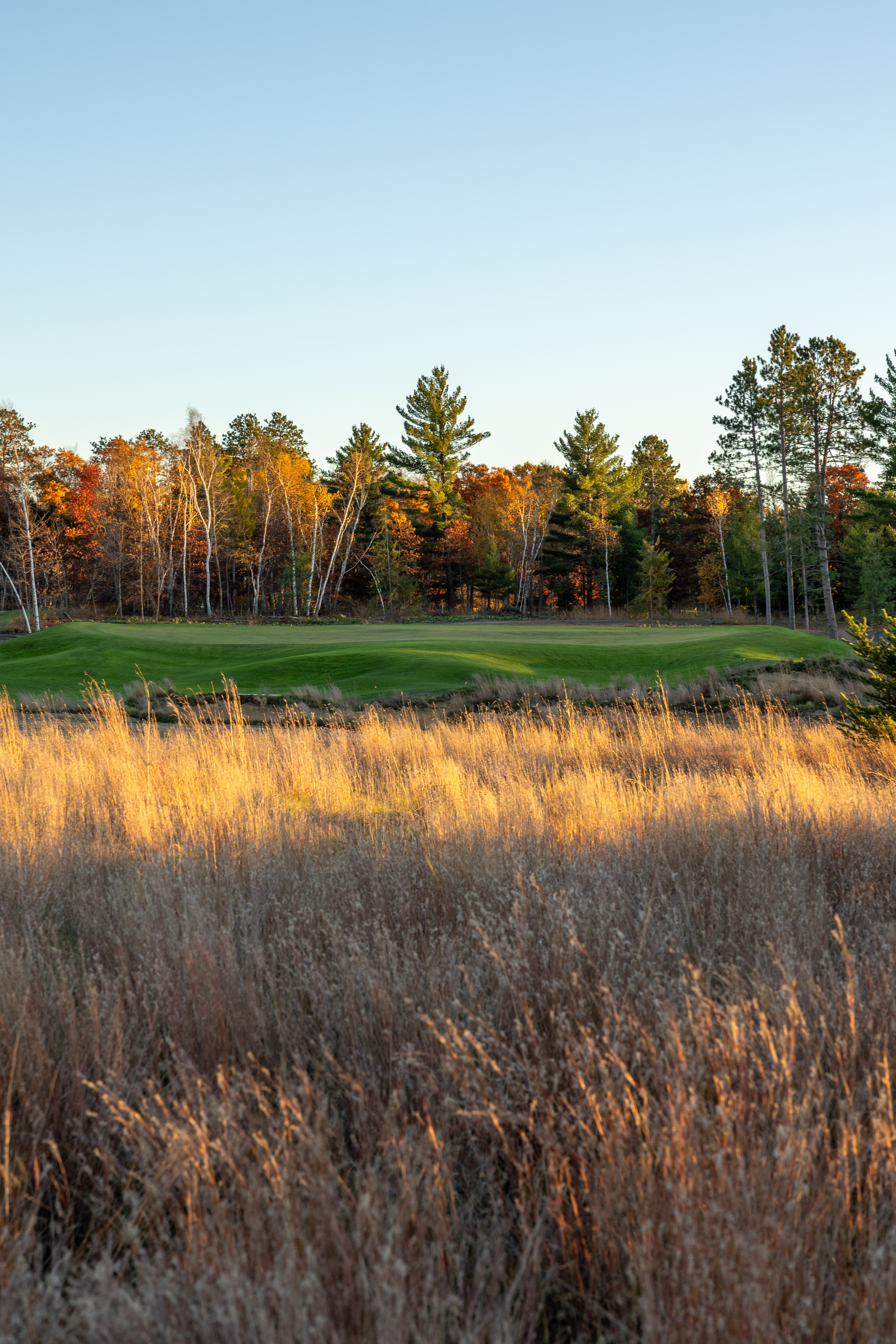 Green view of Hole #3 at The Farm Golf Links, Brainerd Lakes newest 9 hole course.